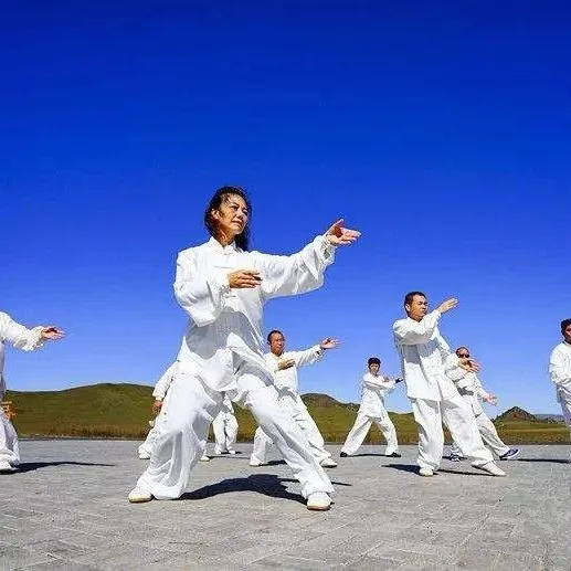 匠造东方美,非遗薪火传(八)—武术